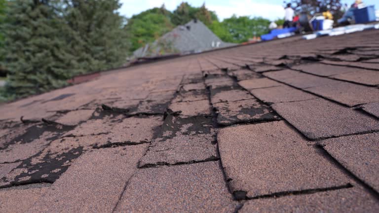 Best Roof Installation  in Durand, MI