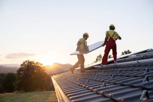 Best Skylight Installation and Repair  in Durand, MI