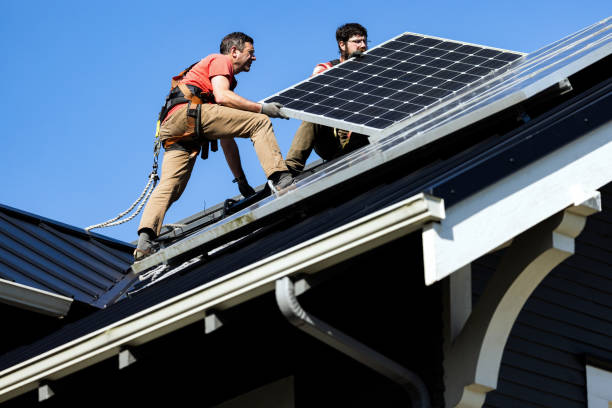 Best Asphalt Shingle Roofing  in Durand, MI